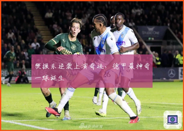 樊振东逆袭上演奇迹，德甲最神奇一球诞生