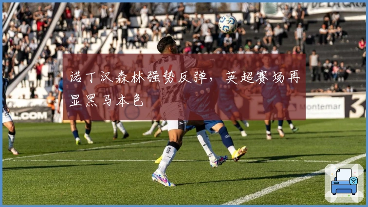 诺丁汉森林强势反弹，英超赛场再显黑马本色