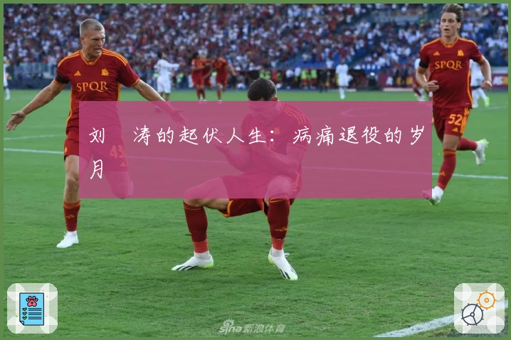 刘赟涛的起伏人生：病痛退役的岁月